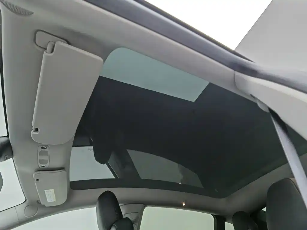 Tesla Model Y — миниатюра 14