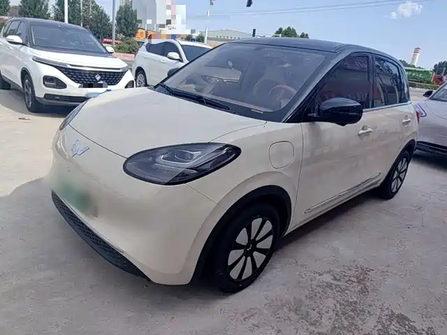 2025 Wuling Motors Binguo
