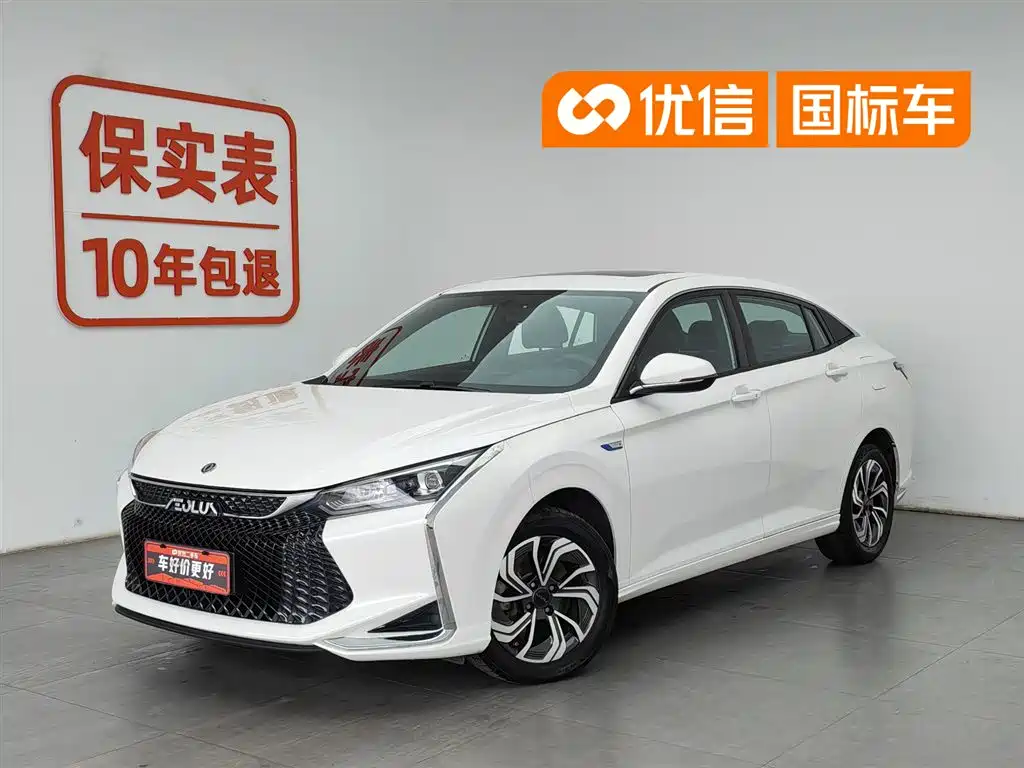 Dongfeng EV