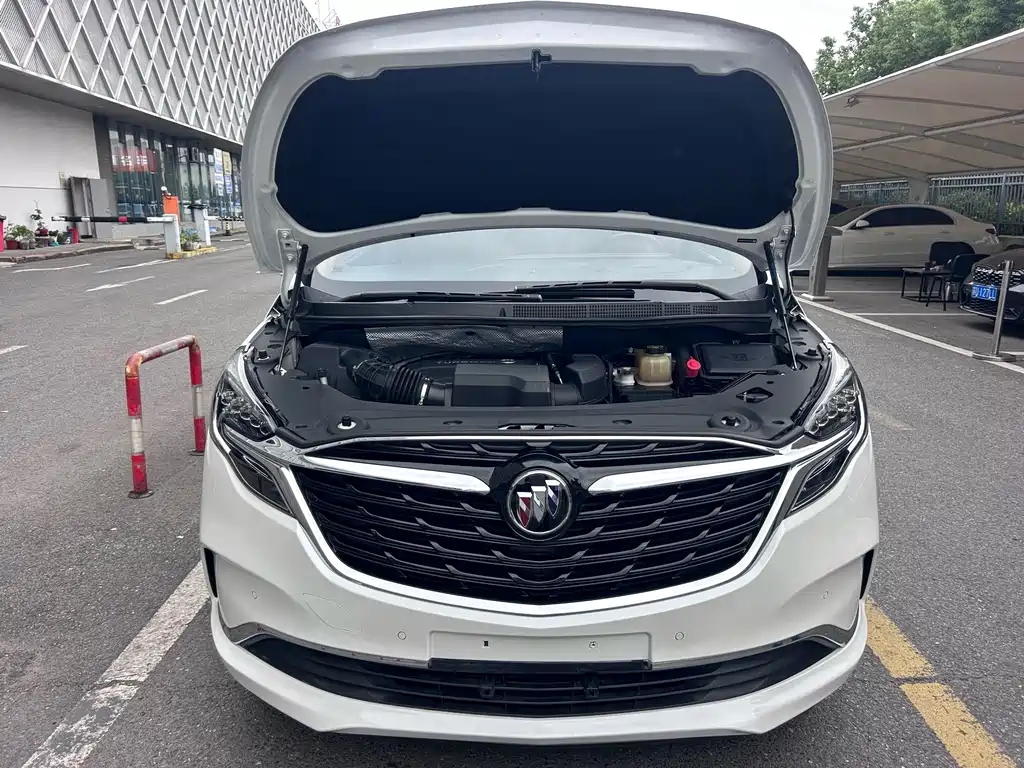 Buick GL8 — миниатюра 7