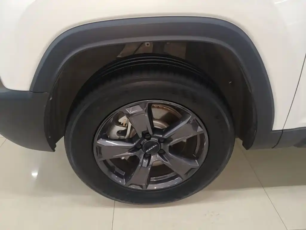 Haval Menglong New Energy — миниатюра 23