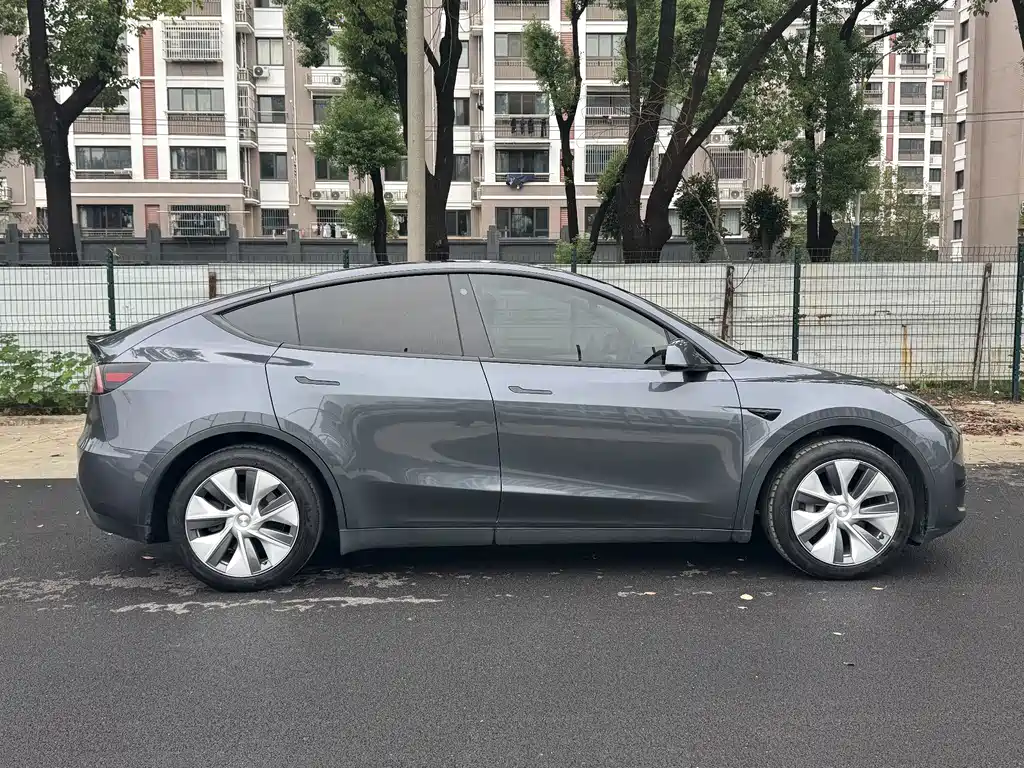 Tesla Model Y — миниатюра 3