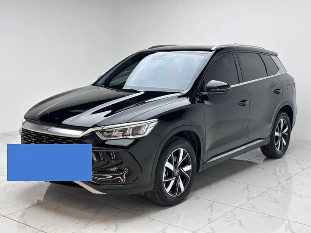 Byd Pro New Energy 2024