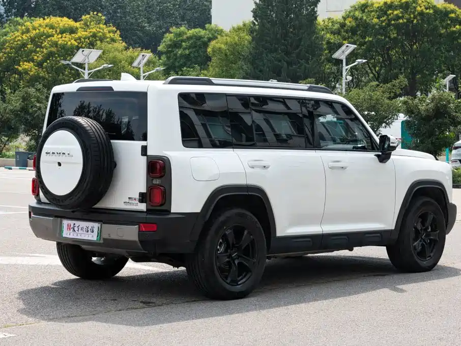 Haval Menglong New Energy — миниатюра 6