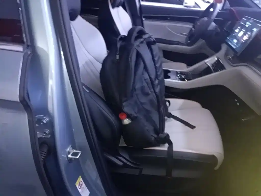 BYD PLUS New Energy — миниатюра 25