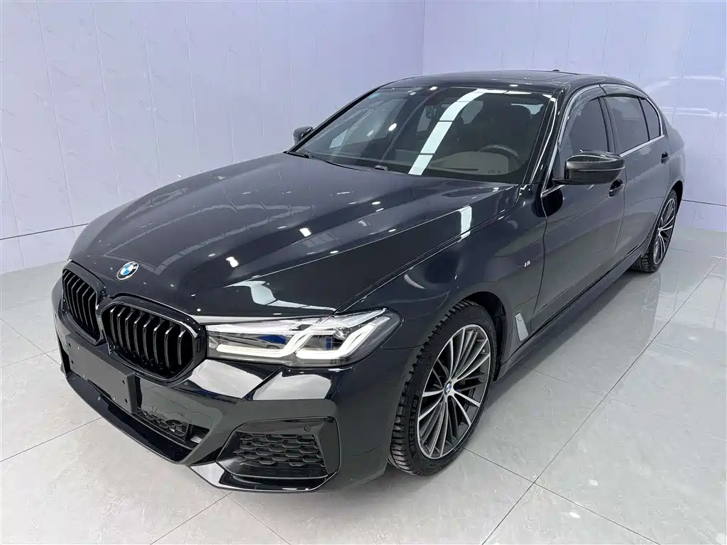 BMW 5 Series 2019