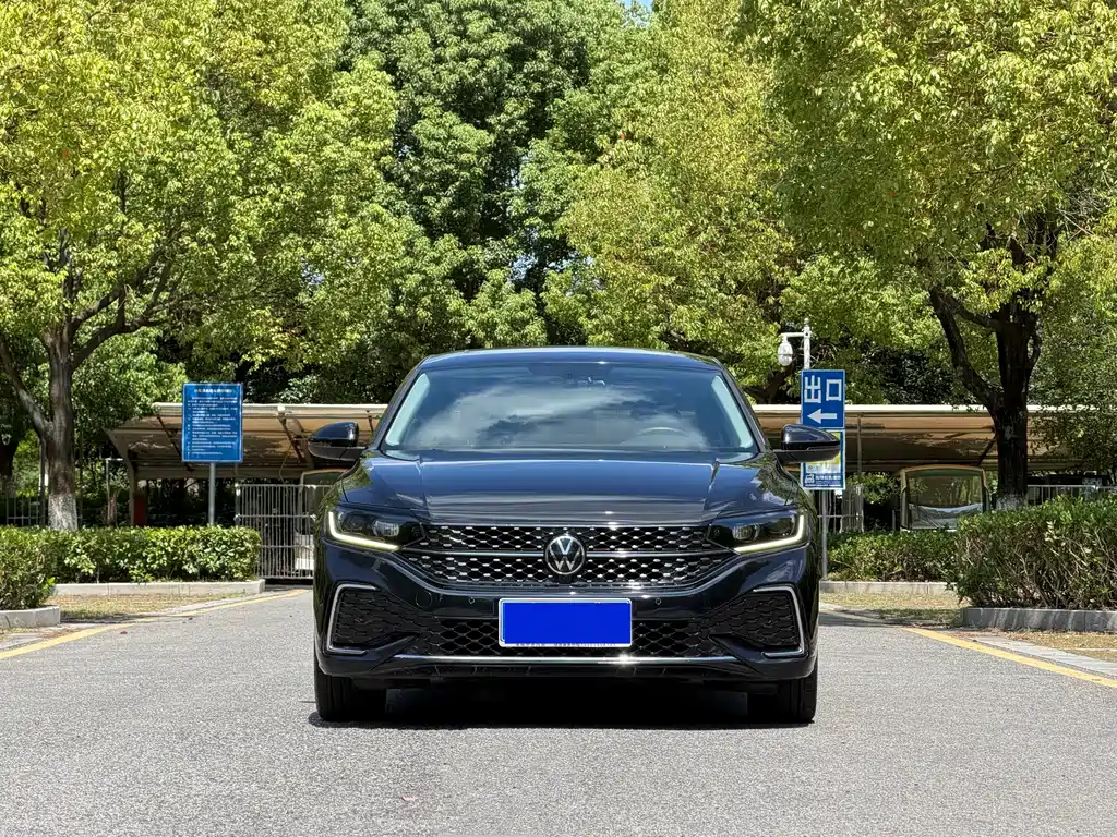 Volkswagen Passat — миниатюра 2