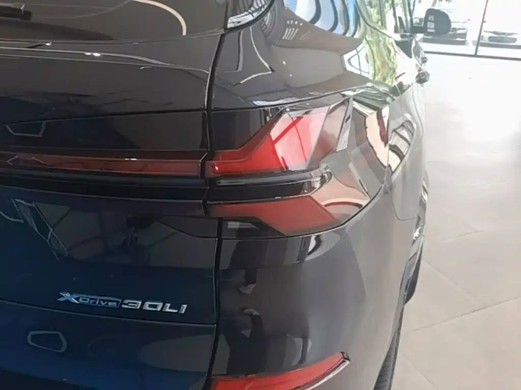 BMW X5 — миниатюра 8