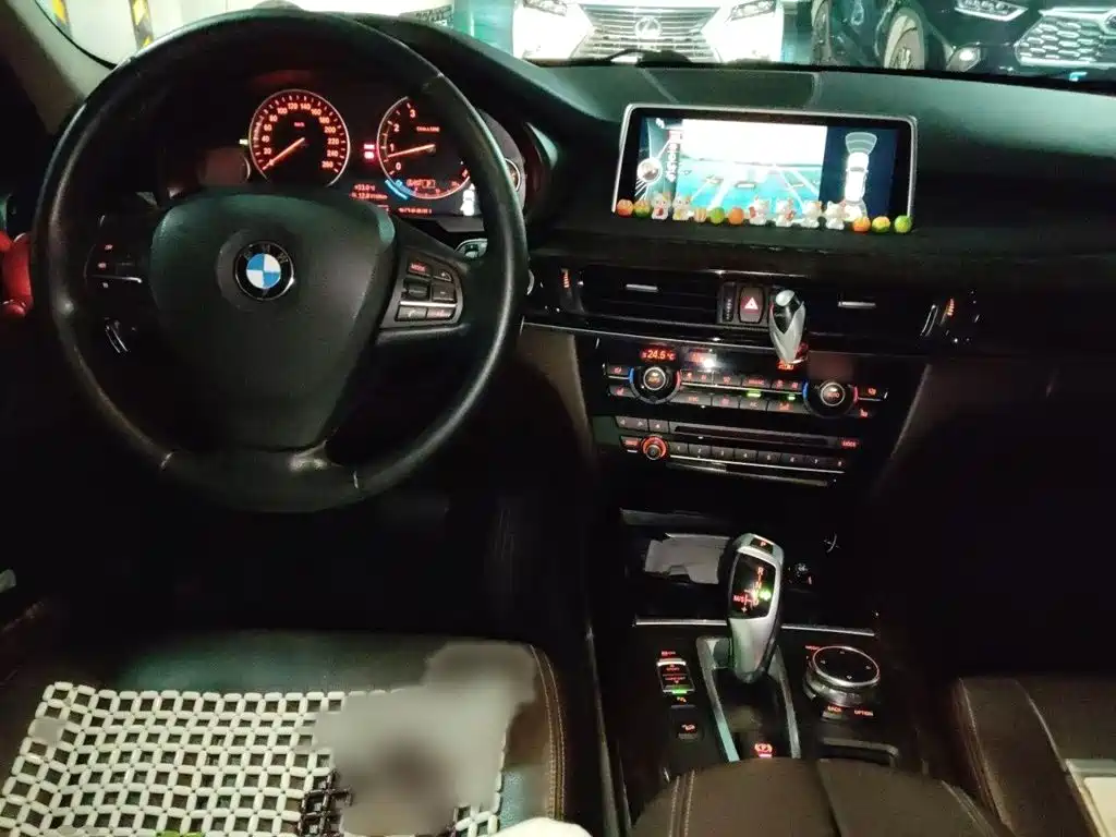 BMW X5 (Import) — миниатюра 13