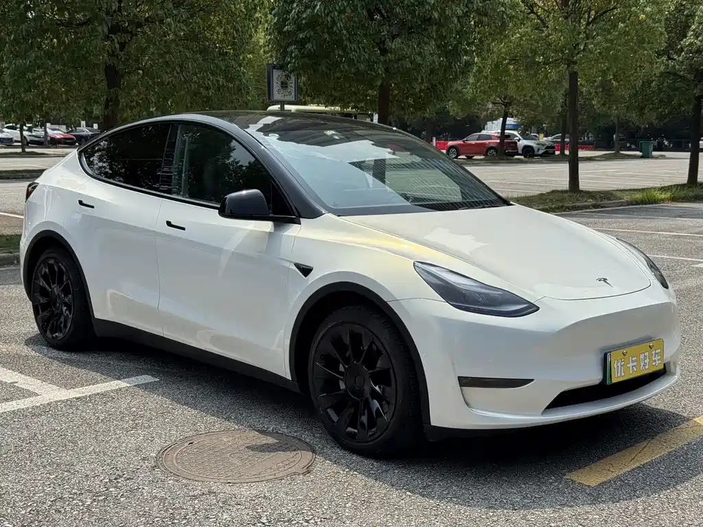 Tesla Model Y — миниатюра 5