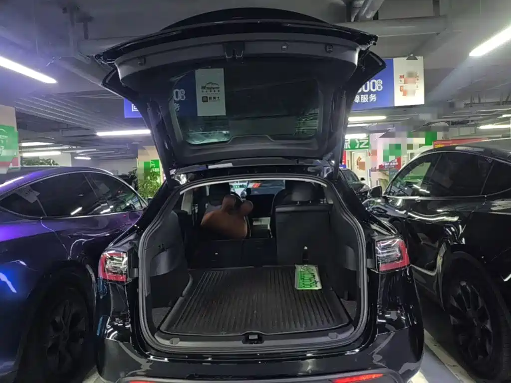 Tesla Model Y — миниатюра 19