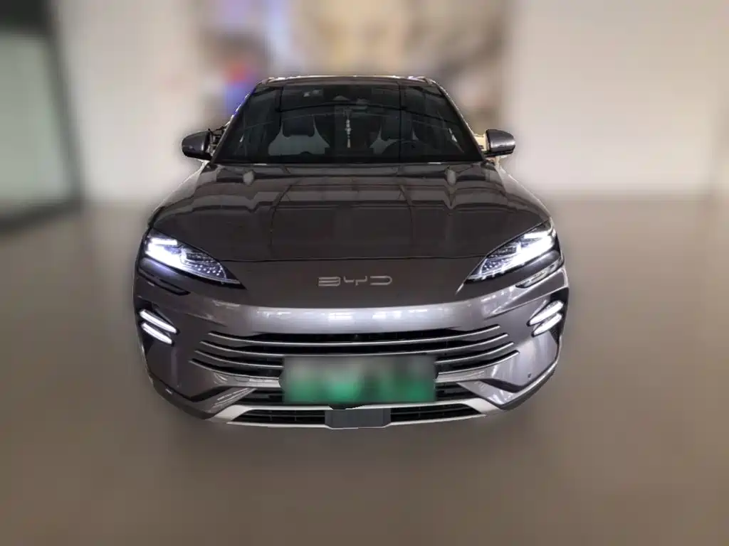 BYD PLUS New Energy — миниатюра 5