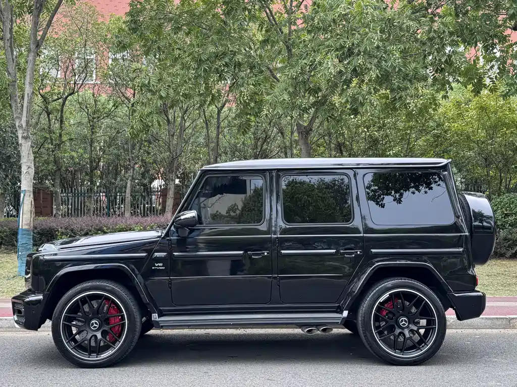 Mercedes-Benz G-Class G 2010 G 500