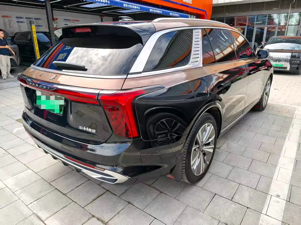 Hongqi Hongqi E-HS9 — миниатюра 12