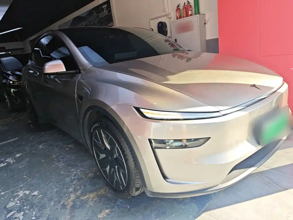 Tesla Model Y L — миниатюра 4