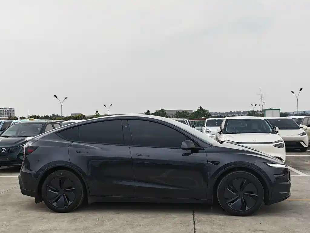 Tesla Model Y — миниатюра 4