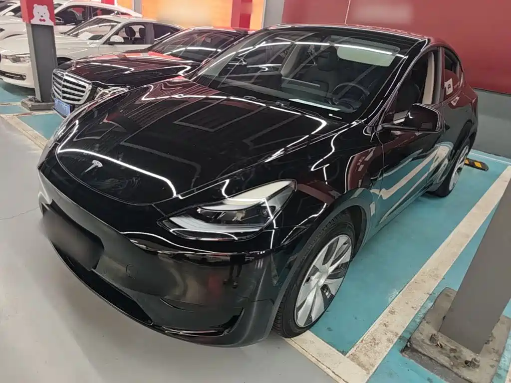 Tesla Model Y — миниатюра 2