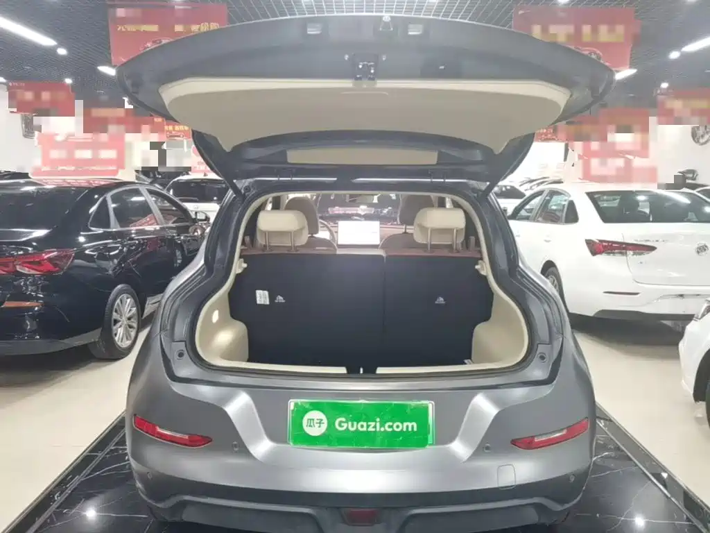 Ora Ora Good Cat GT — миниатюра 19