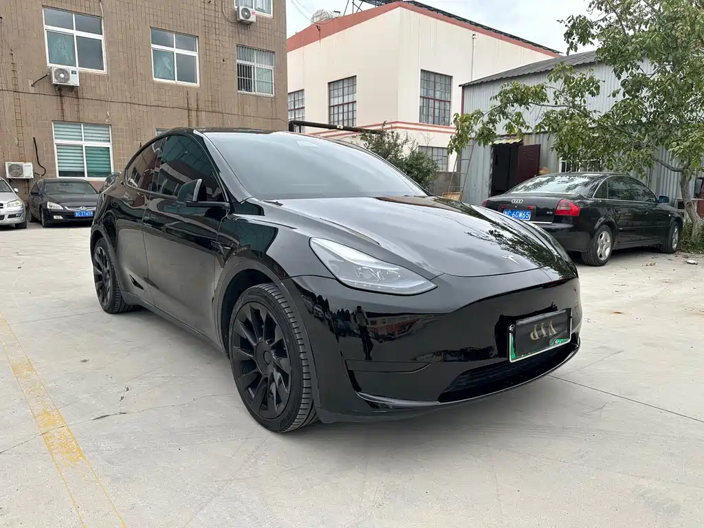 Tesla Model Y — миниатюра 2