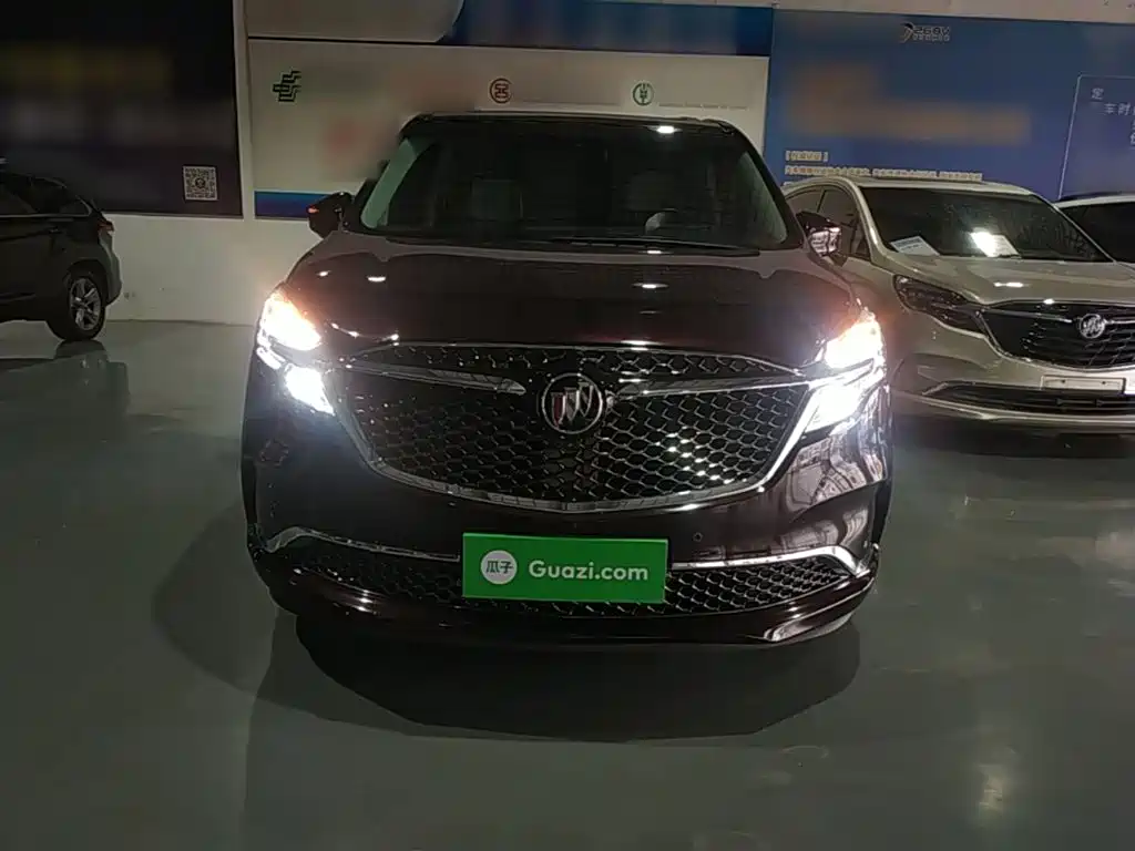 Buick GL8 — миниатюра 3