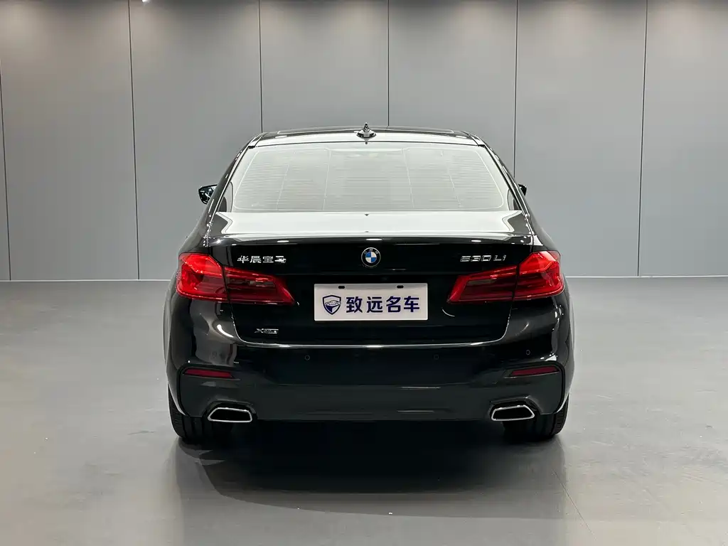 BMW 5 Series — миниатюра 5