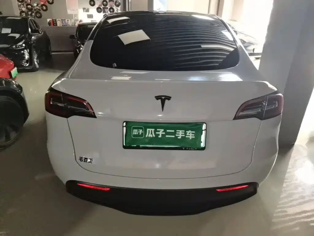 Tesla Model Y — миниатюра 6