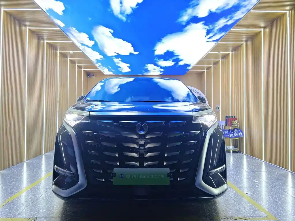 Denza Denza D9 — миниатюра 3