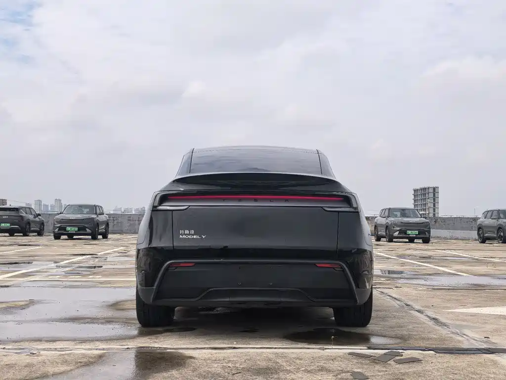Tesla Model Y — миниатюра 6