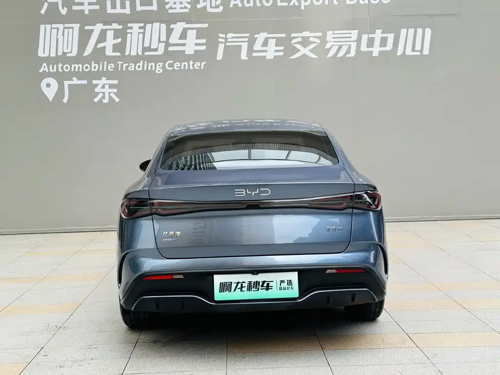 BYD Seal 06 06 2024 DM-i 80KM Luxury
