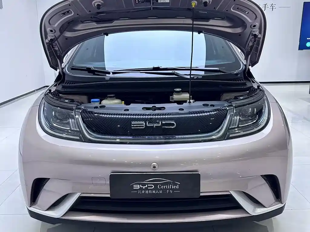 BYD Dolphin — миниатюра 9
