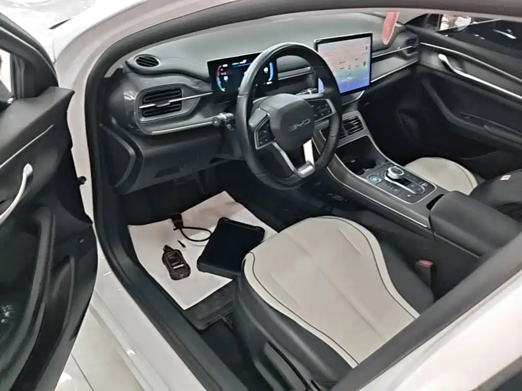 BYD Destroyer 05 — миниатюра 16
