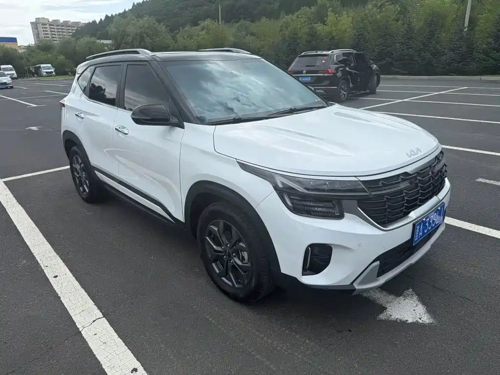 Kia Seltos — миниатюра 3