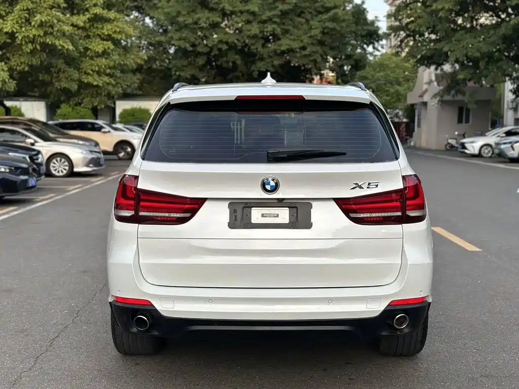 BMW X5 (Import) — миниатюра 5