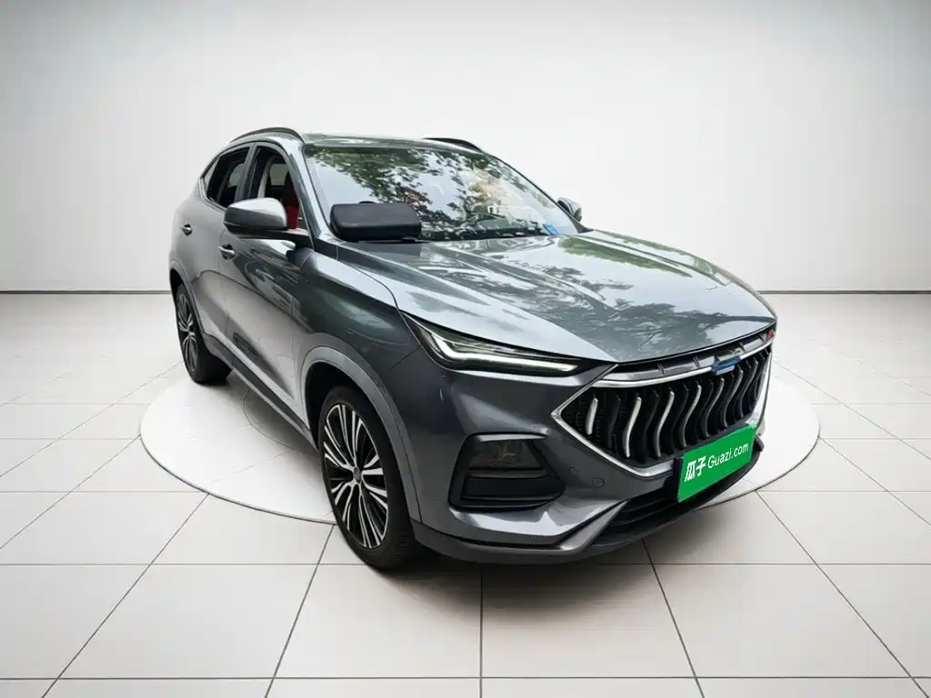 Oshan Oushang X5 — миниатюра 24