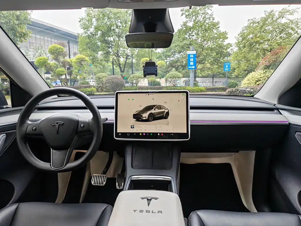 Tesla Model Y — миниатюра 10