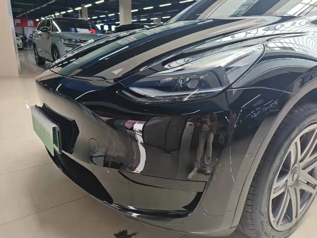 Tesla Model Y — миниатюра 20
