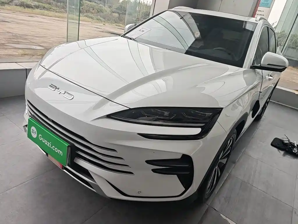 BYD PLUS New Energy — миниатюра 2
