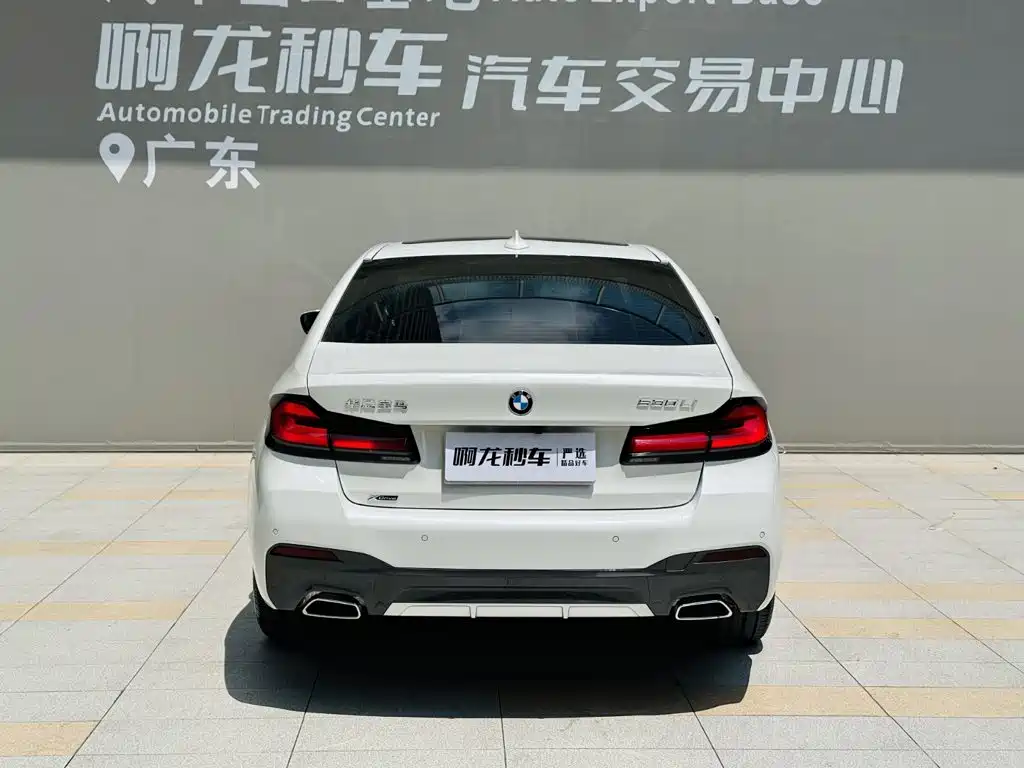 BMW 5 Series 5 2022 530Li xDrive M Sport