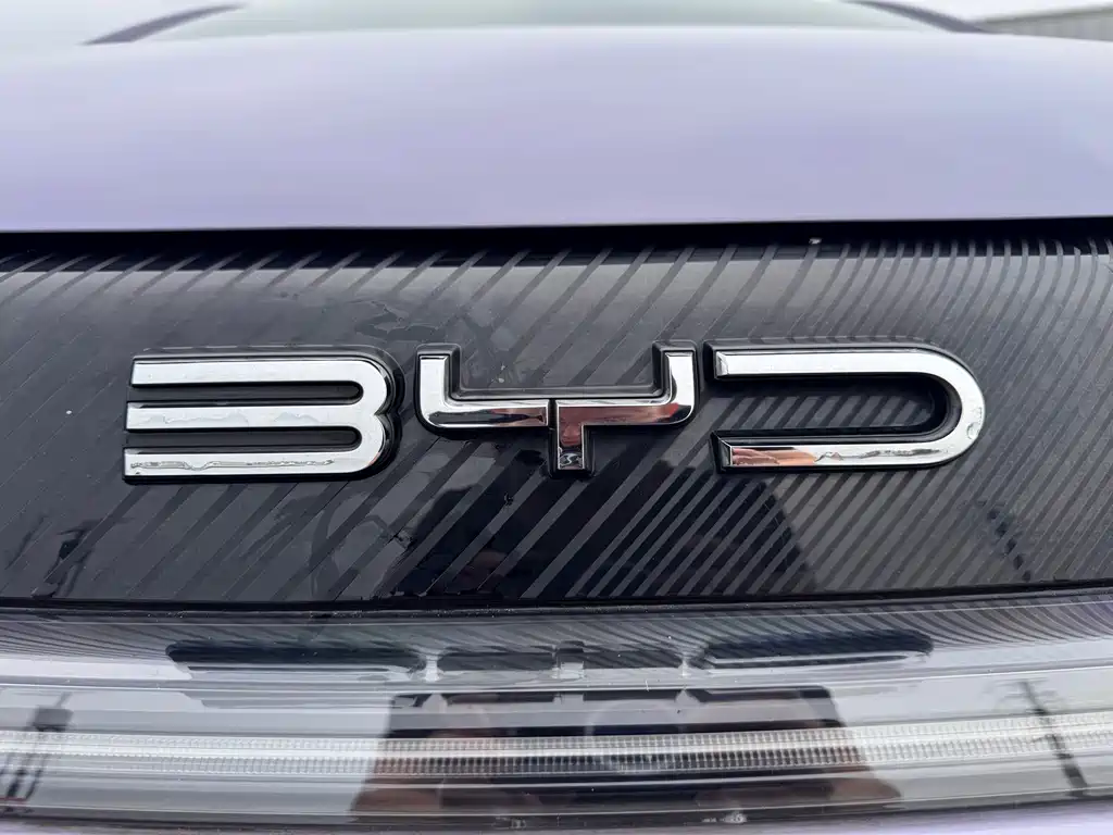 BYD Dolphin — миниатюра 8