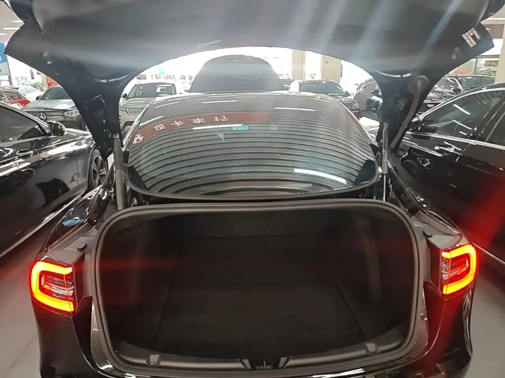 Tesla Model 3 — миниатюра 19