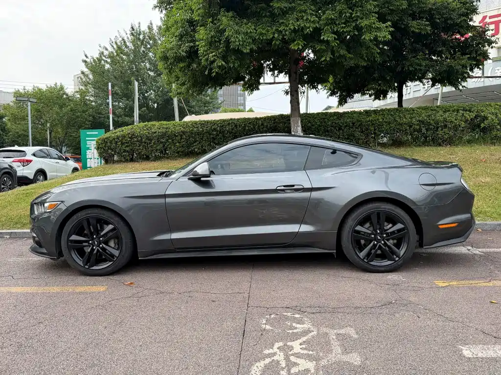 Ford Mustang — миниатюра 3