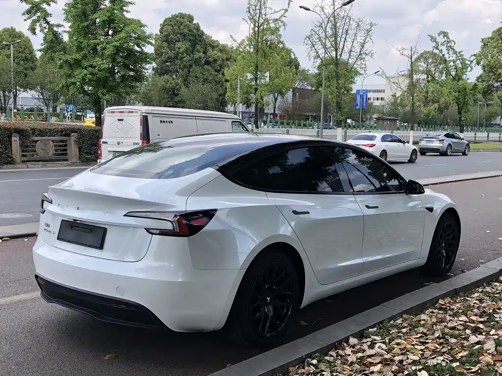 Tesla Model 3 — миниатюра 14
