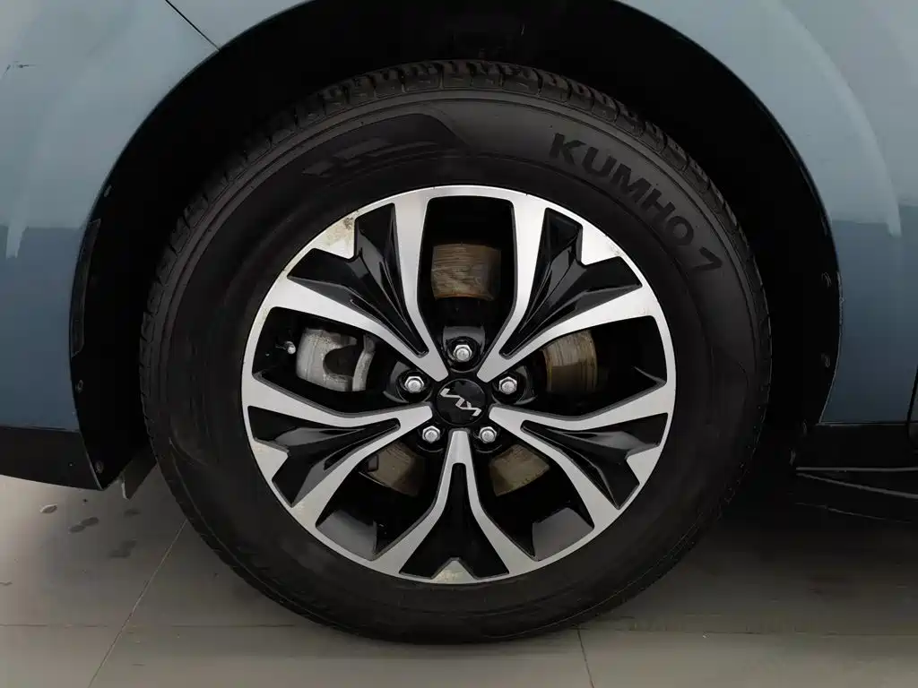 Kia Carnival — миниатюра 13