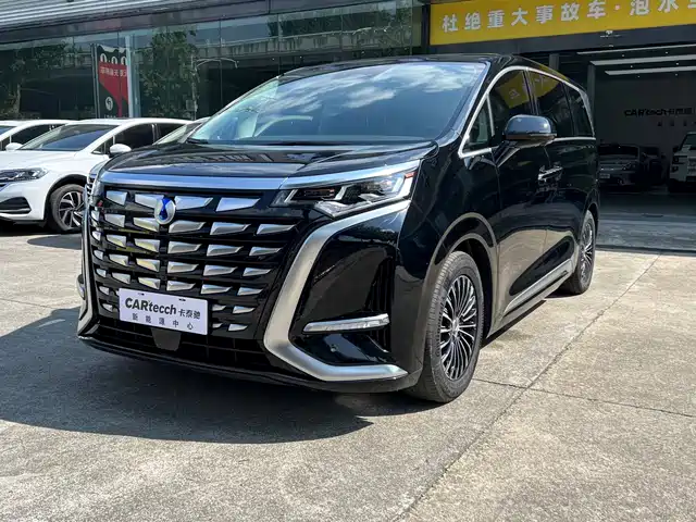 Denza D9