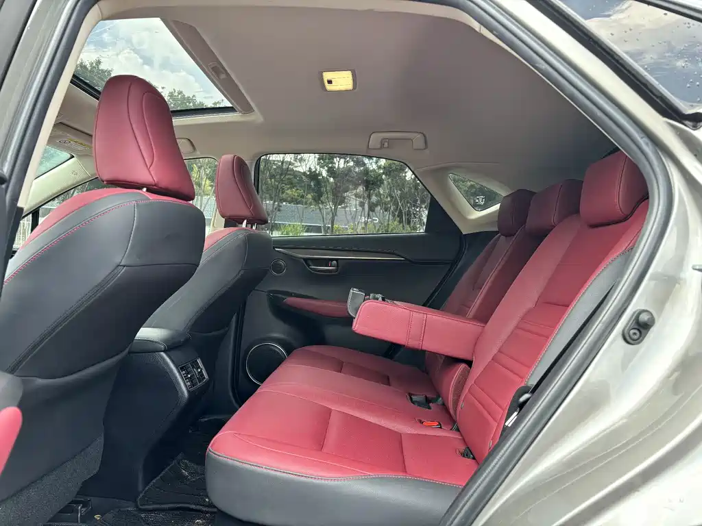 Lexus NX — миниатюра 16