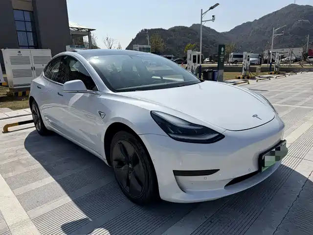 TESLA MODEL 3 2020