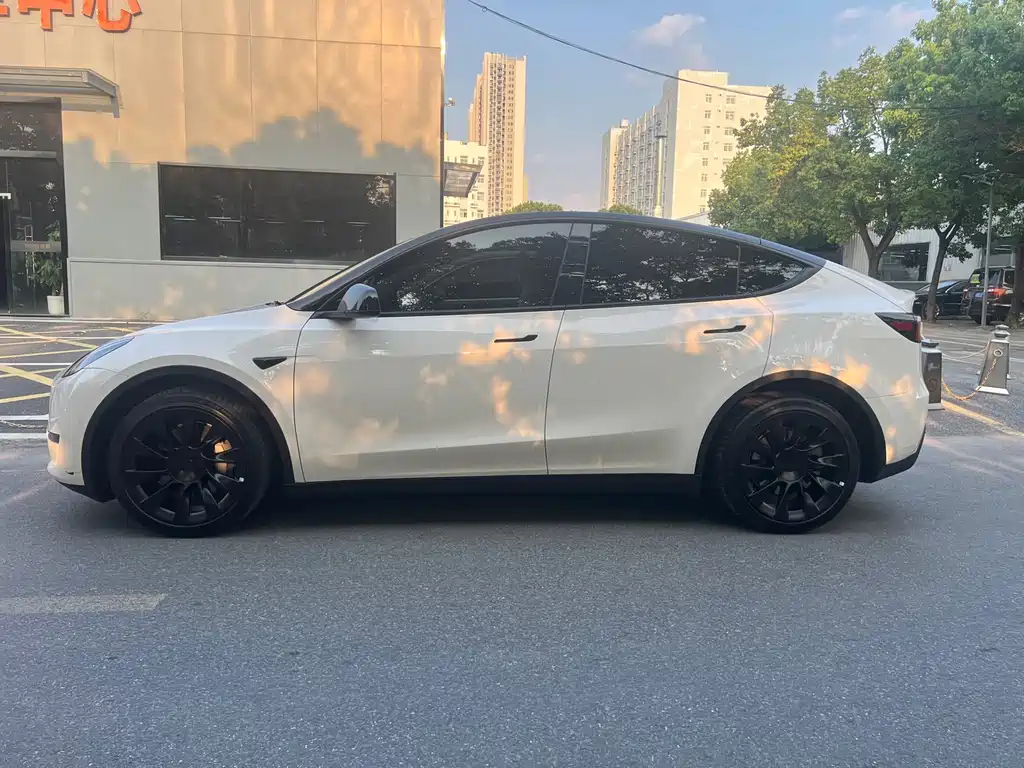 Tesla Model Y — миниатюра 7