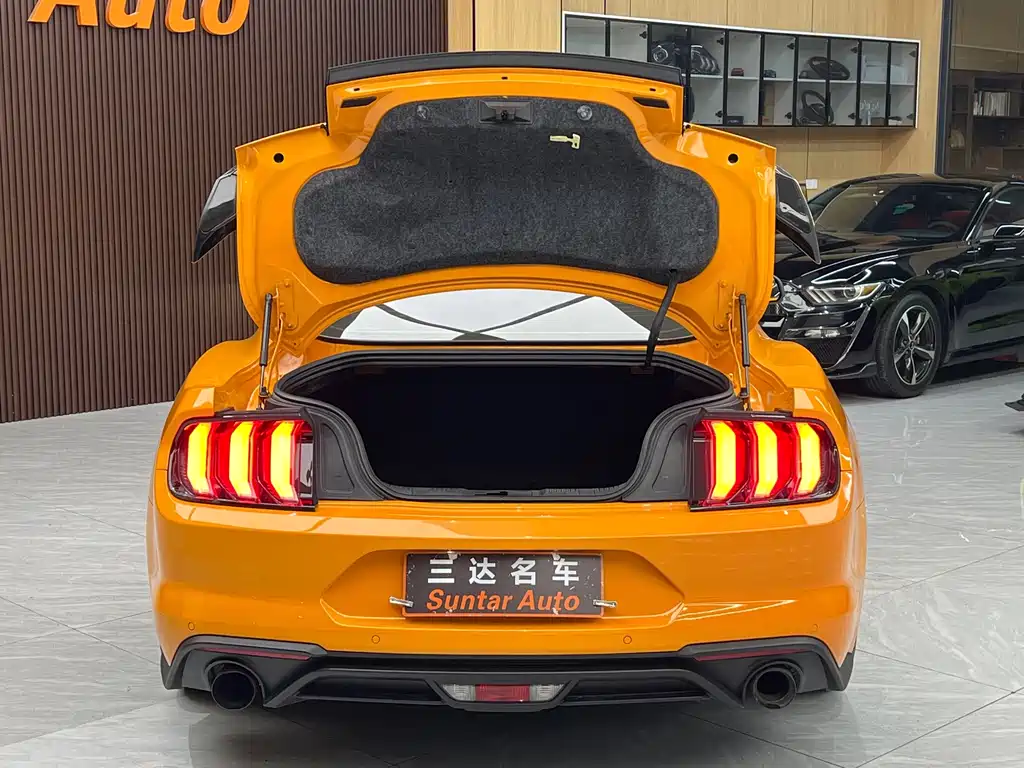 Ford Mustang — миниатюра 36