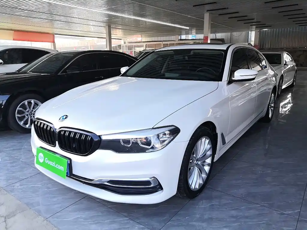 BMW 5 Series 5 2019 530Li Lead Luxury