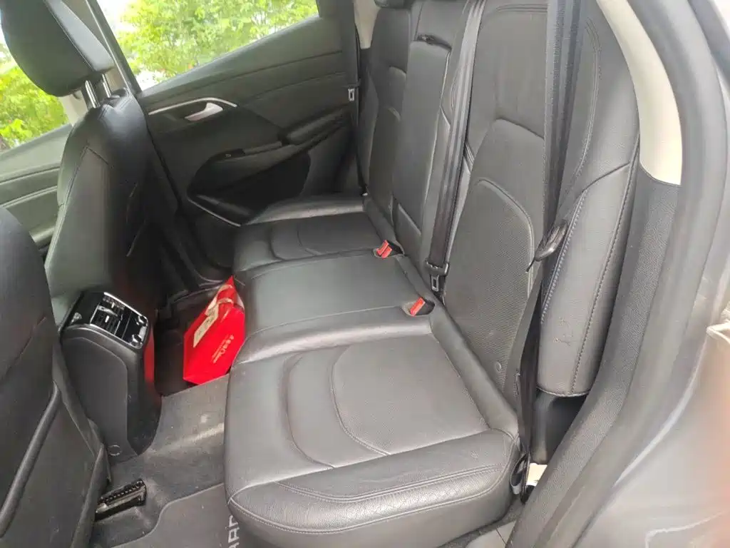 Borgward BX7 — миниатюра 13